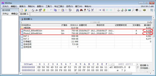 第四十一章 sd卡图片显示实验 lcd显示 摘自 正点原子开拓者fpga开发指南 openedv 开源电子网